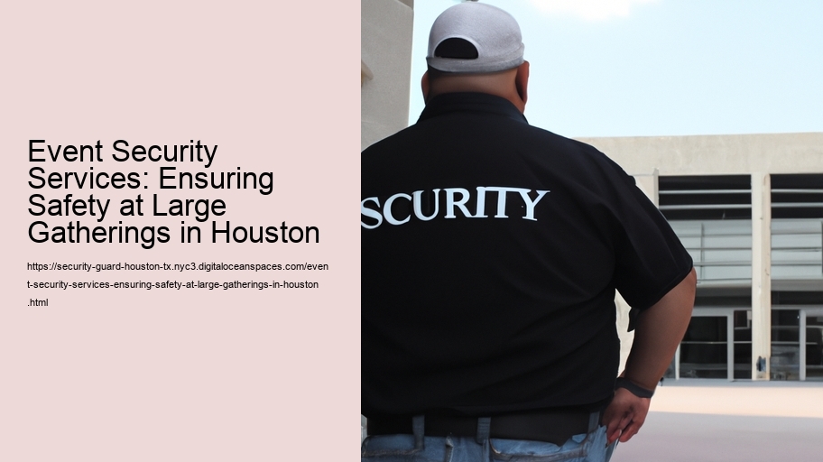 Event Security Services: Ensuring Safety at Large Gatherings in Houston