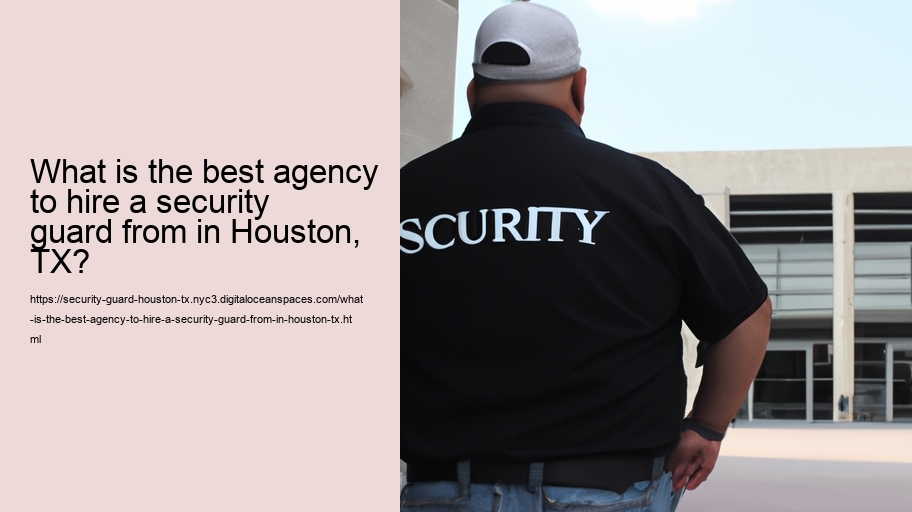 What is the best agency to hire a security guard from in Houston, TX?